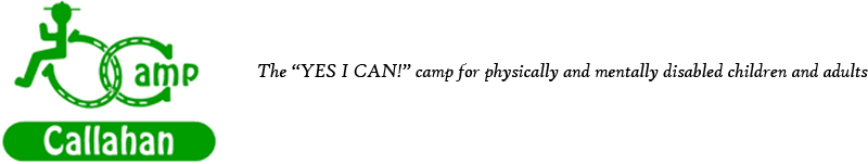 Chameleon Logo